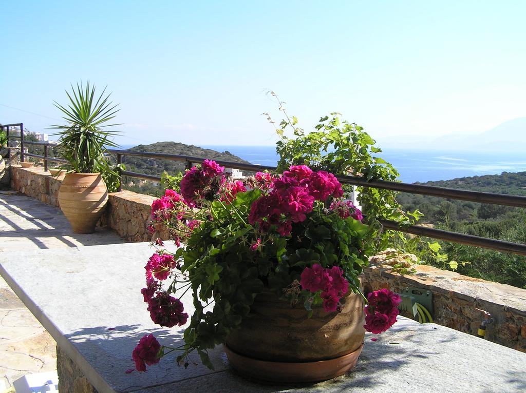 Fissi Villas Agritourism Accommodation Near The Sea Άγιος Νικόλαος Εξωτερικό φωτογραφία